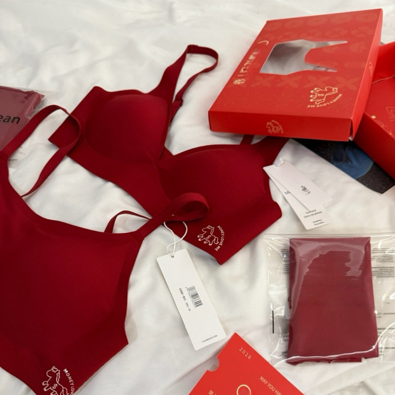 Set donjeg rublja za Godinu konja – najlon, 3/4 šalica, modelirane čašice: tanak gornji dio i debeli donji dio, fiksni dvostruki remeni, stražnje kopčanje s tri reda