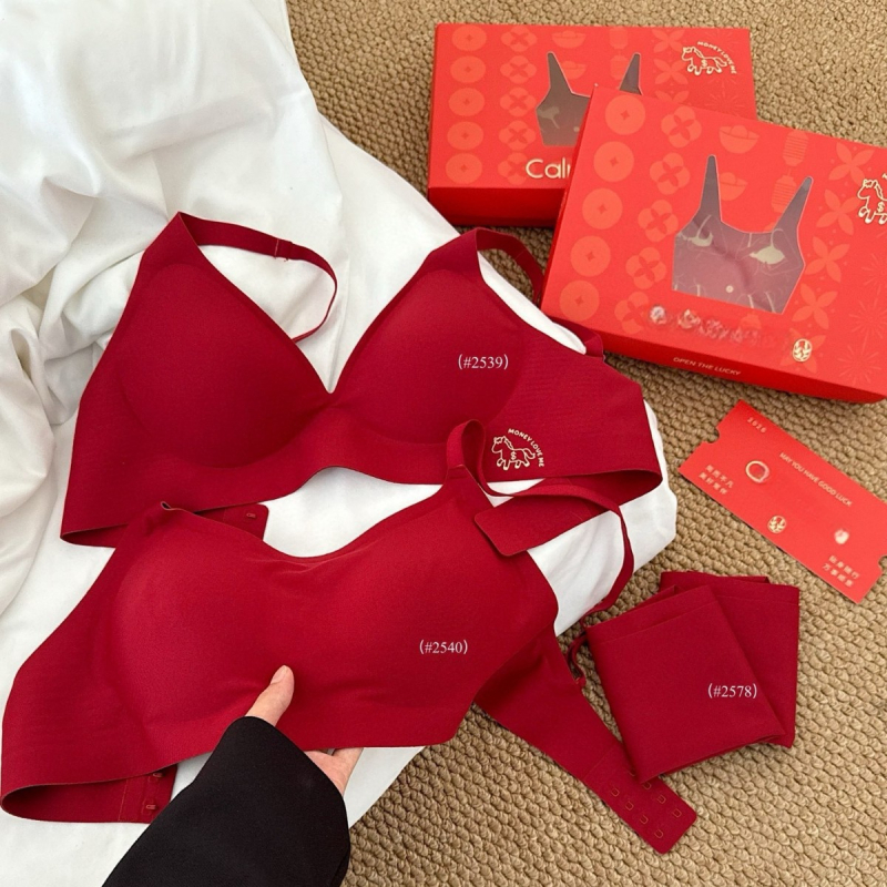 Set donjeg rublja za Godinu konja – najlon, 3/4 šalica, modelirane čašice: tanak gornji dio i debeli donji dio, fiksni dvostruki remeni, stražnje kopčanje s tri reda