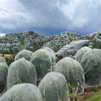 Комплект мрежесто покривало против вредители за овощни дървета и зеленчуци — защита от белокрилка, птици и слънце (3 части). Марка Unique