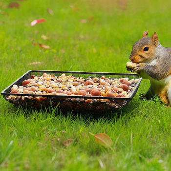Hrănitoare pentru păsări din Fier forjat, plasă pătrată din sârmă, alimentare manuală, pentru grădină în aer liber și acvariu