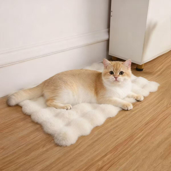 Podložka za pse od velura — udoban madrac za spavanje (Materijal: velur; Sezona: cijelo godišnje; Pogodno za: psa; Čišćenje: perivo; Funkcija: grijanje)