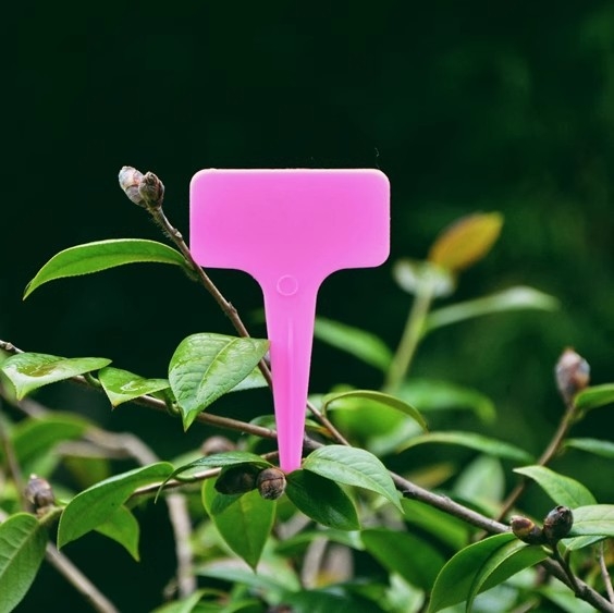 Növénycímkék – PP anyag – jelölésre