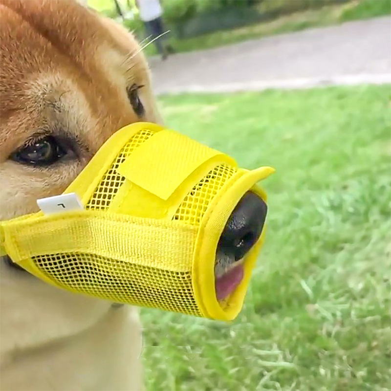 Set botnițe de câini – Anti-mușcare, Anti-lătratul, Protecție împotriva mestecării, Acoperire a gurii pentru câini; Material: Altceva; Importat: Nu; Cod articol: 703109860502