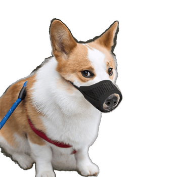 Botniță reglabilă pentru câini, anti-mușcare, anti-hrană și anti-lătrat; respirabilă și permite aportul de apă pentru câini mari