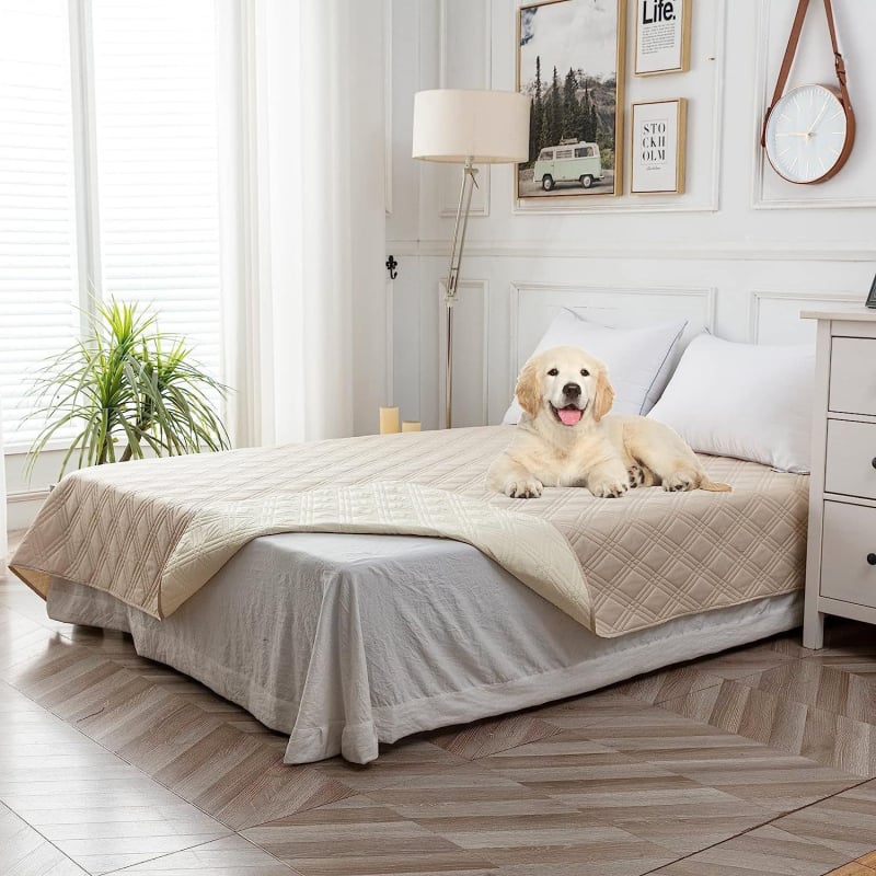 Covoraș pentru animale de companie pentru câini, din poliester, lavabil la mașină, fără montaj