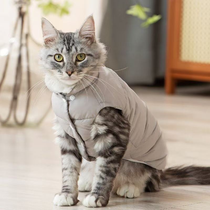 Mačja zimska lagana jakna s puhom, poliester materijal, stil Japana i Koreje, brend Pippi Dog