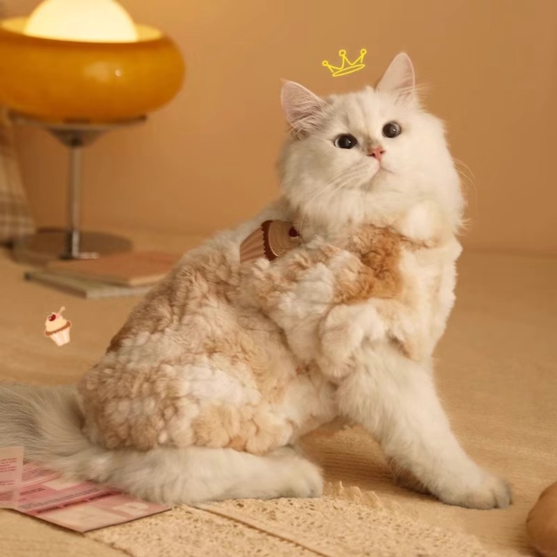 Mačji pamučni kaput, britanski stil, zimska toplina, unisex, Guide Cat