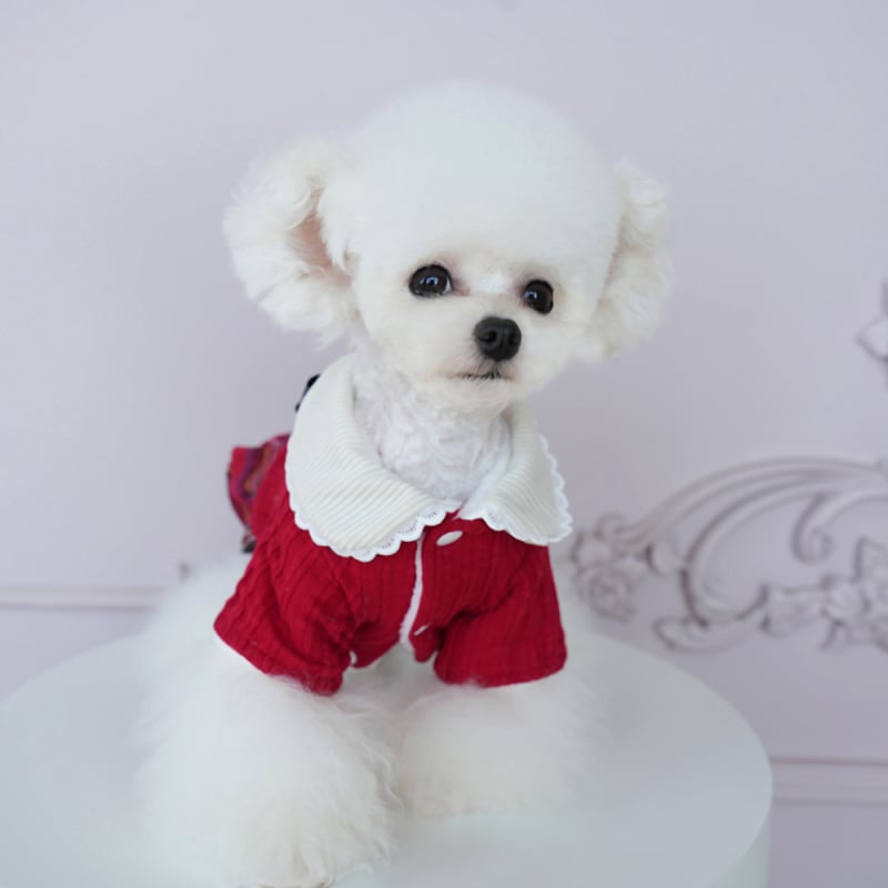 Set odjeće za kućne ljubimce (skirt) — akrilni materijal, princes stil, brend Lollypop pet