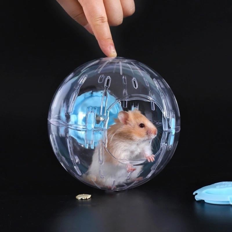 Hamster Running Ball Toy – prozirna plastična kugla za sprječavanje gubitka (Materijal: Plastika; Značka: Druga; Kategorija: Hrana za kućne ljubimce; Uvoz: Ne)