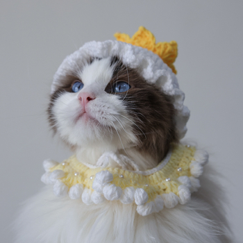 Šapka za kućne ljubimce (mačke i psi), ručno heklana kapa, cosplay rekvizita, vunena, uzorak u boji, za četiri sezone