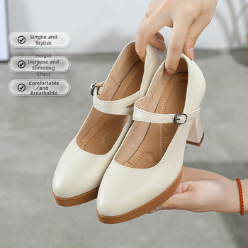 Visoke štikle s špicastim nosom, izuzetno visok potpetica, tanak potpetica, zatvarač s kopčom