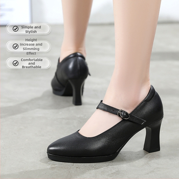 Visoke štikle s špicastim nosom, izuzetno visok potpetica, tanak potpetica, zatvarač s kopčom