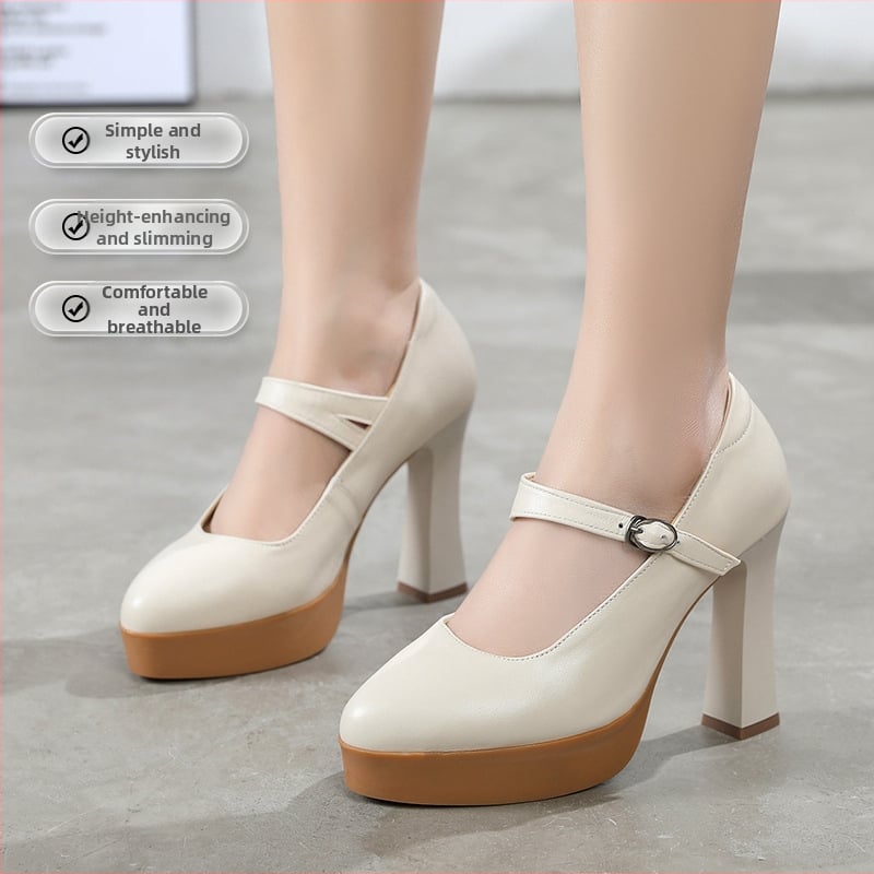 Visoke štikle s špicastim nosom, izuzetno visok potpetica, tanak potpetica, zatvarač s kopčom