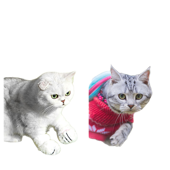 Macskaápoló kesztyűk fürdetéséhez, 4 darabos készlet, puha nyúlvelúr, állítható, karcolás elleni