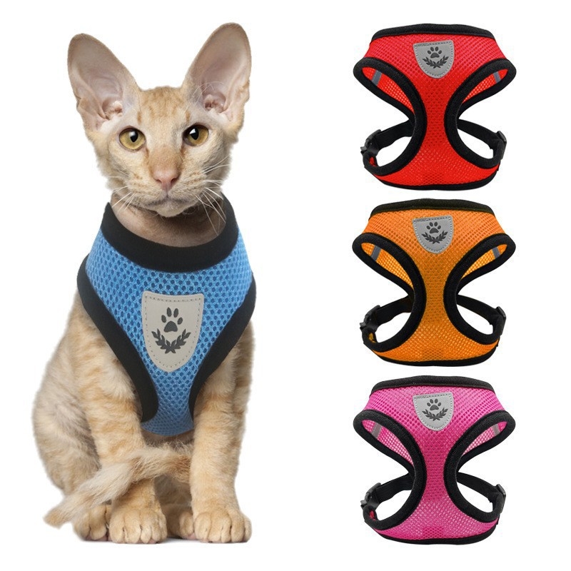 Pseći prsluk i povodac, prozračni, fiksna duljina, poliester (Materijal: Poliester; Duljina: Fiksna; Kutija: 100 kom.)