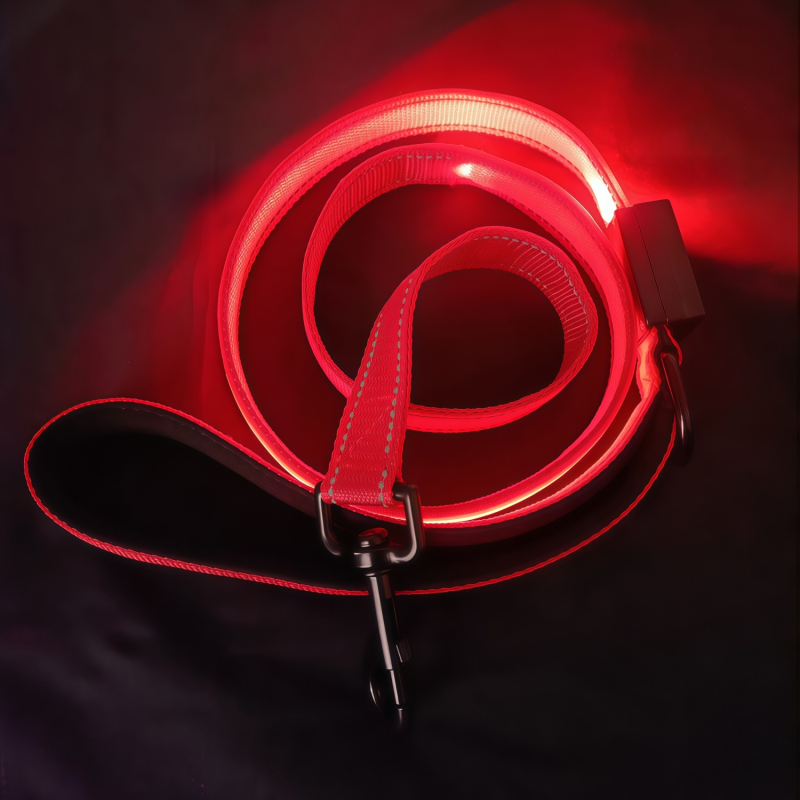LED svijetleći povodac za psa s Type-C punjenjem, visoka svjetlina, sprječava gubitak, ne produžava, od najlona (Materijal: Najlon; Punjenje: Type-C; Svjetlina: Visoka; Proširenje: Ne; Model: AN78251122)