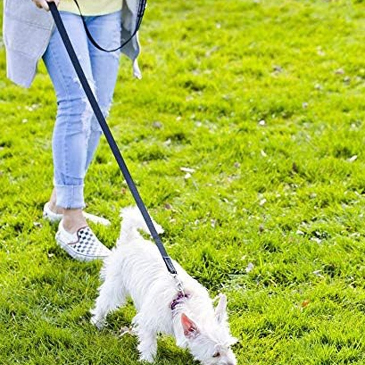 Reflektirajući najlonski povodac za pse, ECHO PET — trening povodac s fiksnom duljinom, kutija od 50 komada