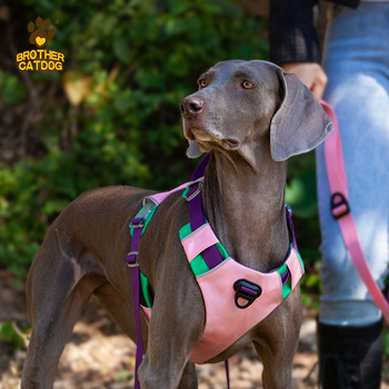 Vodič za psa s prsnom remenom u vest-stilu, neizvlačno, najlon, marka Cat brother dog brother, pakiranje 100 kom