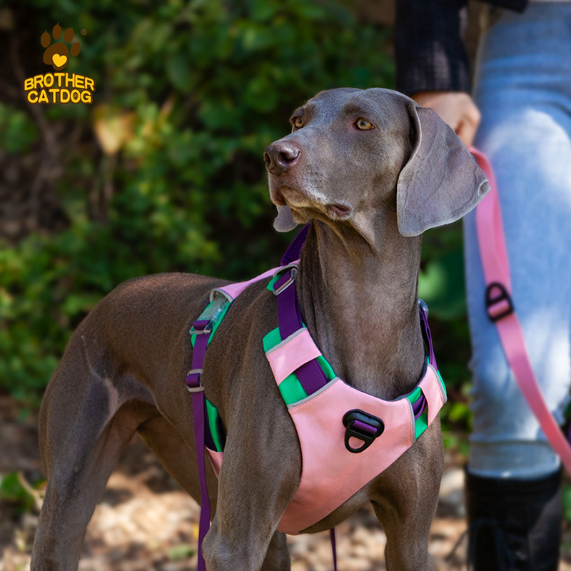 Vodič za psa s prsnom remenom u vest-stilu, neizvlačno, najlon, marka Cat brother dog brother, pakiranje 100 kom