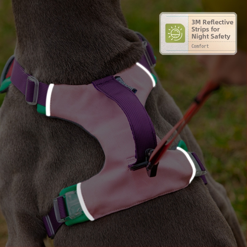 Vodič za psa s prsnom remenom u vest-stilu, neizvlačno, najlon, marka Cat brother dog brother, pakiranje 100 kom