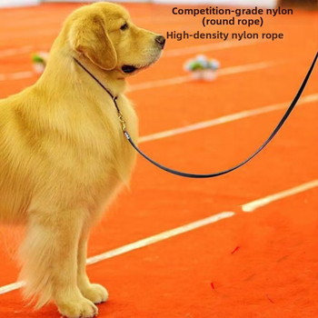 Najlonski povodac za trening psa s ogrlicom, za male i srednje pasmine (Teddy, Bichon, Corgi)