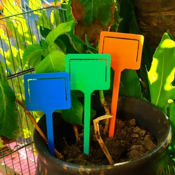 Plastične oznake za biljke i markeri – debeli umetci tipa kartice – Značka Shuhe