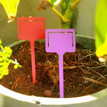 Plastične oznake za biljke i markeri – debeli umetci tipa kartice – Značka Shuhe