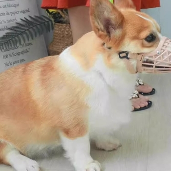 Botniță pentru câini - Material TPR, Protecție împotriva mușcăturilor, rosului și lătratului