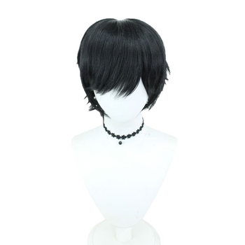 Cosplay perika, kratka kovrčava frizura, termički otporna vlakna, otprilike 150 g, nije pogodna za toplo bojanje