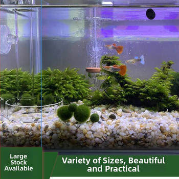 Podloga pijesan za akvarij – Pijesak od Perl Jadea, Prirodni Jade, Rain Flower kamen, Rainforest pijesan; Značka: Drugo; Uvoz: Ne