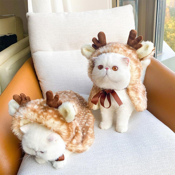 Állatok transzformációs jelmeze: nyuszi plüss köpeny kutyáknak és macskáknak – márka Musical School