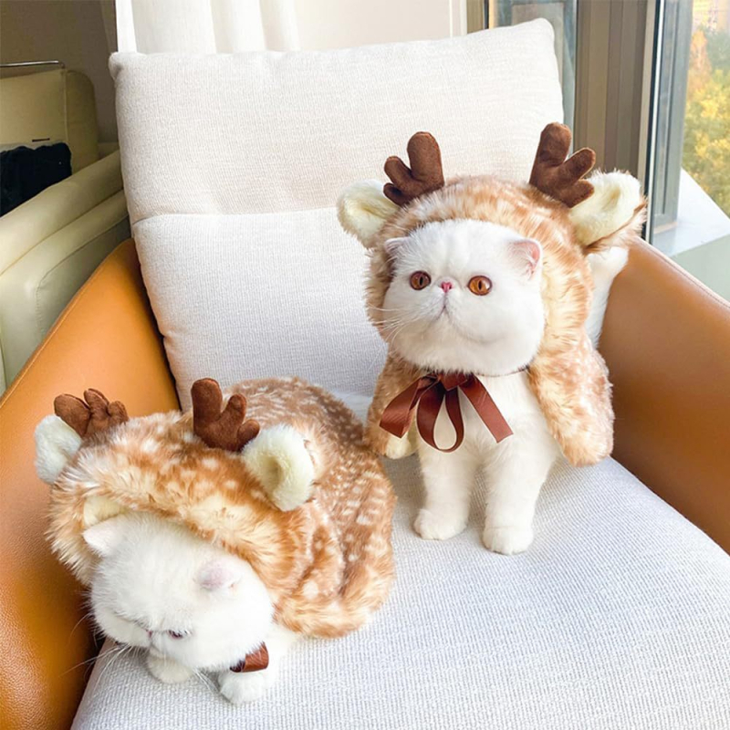 Állatok transzformációs jelmeze: nyuszi plüss köpeny kutyáknak és macskáknak – márka Musical School