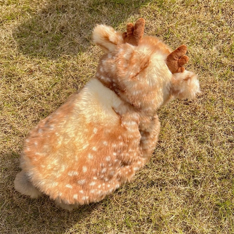 Állatok transzformációs jelmeze: nyuszi plüss köpeny kutyáknak és macskáknak – márka Musical School