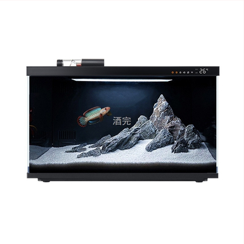 Desktopni akvarij s krajobraznim dizajnom — snježni planinski kraj, integrirani potok, prirodni materijali