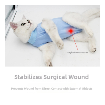 Mačje odjeće za postoperativnu rehabilitaciju nakon sterilizacije — prozračna, elastična, protiv lizanja, od pamuka, Dalton Family