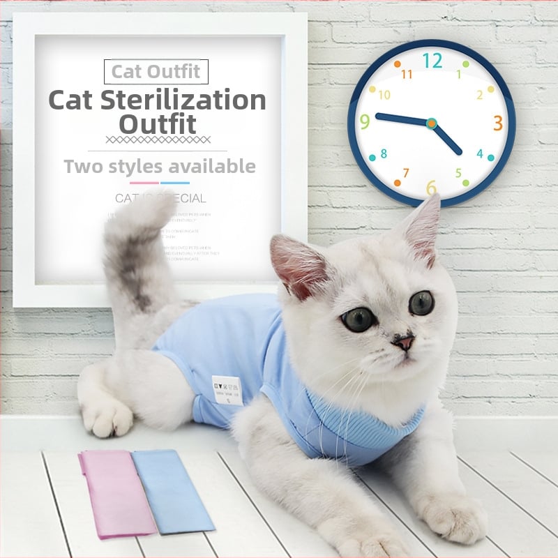 Mačje odjeće za postoperativnu rehabilitaciju nakon sterilizacije — prozračna, elastična, protiv lizanja, od pamuka, Dalton Family