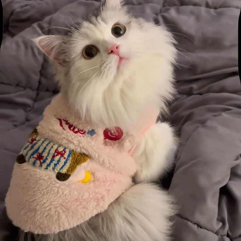 Vesta za kućne ljubimce, materijal coral fleece, crtani stil, univerzalna kompatibilnost