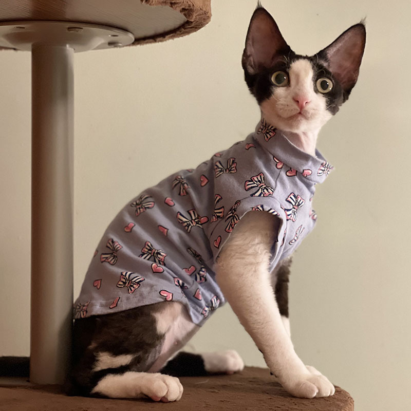 Odjeća za golu mačku – Casual stil, materijal: metal, kategorija: odjeća za kućne ljubimce, broj proizvoda 8635637114112