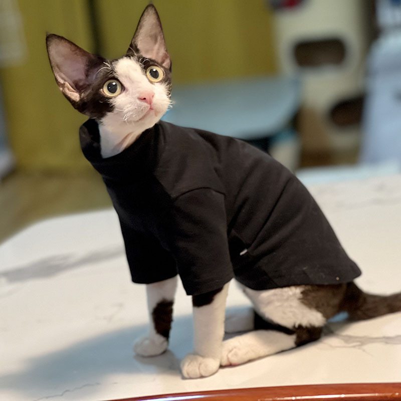 Odjeća za golu mačku – Casual stil, materijal: metal, kategorija: odjeća za kućne ljubimce, broj proizvoda 8635637114112