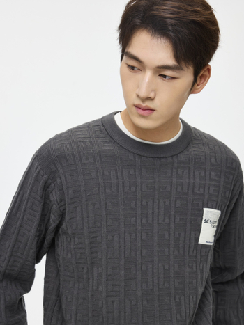 Muški debeli jacquard džemper s reverom, mješavina Lyocell/Tencel vune, jednobojni uzorak