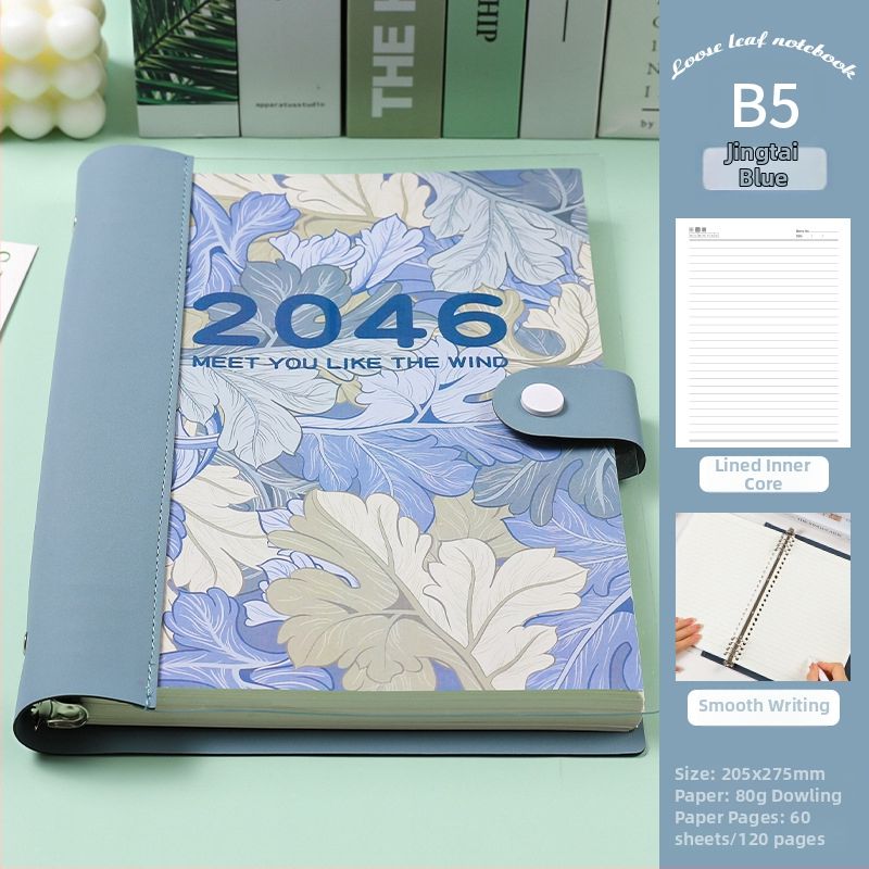 Prozirni bilježnica s razdvojenim listovima, meka kožna kućišta, odvojivi blok bilježnica, Dowling papir, 60 listova, 8 rupa