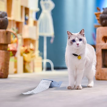 Dispenser pentru sacoșe de gunoi pentru animale de companie, recipient tip cană, din silicon, gură plată, grosime standard, marca Yealink