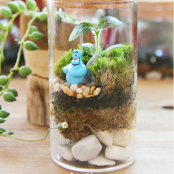 LeVana γυάλινο οικολογικό μπουκάλι για DIY μικροτοπία με βρύα – γυάλι HIGH αντοχής (borosilikát), συσκευασία από χαρτόνι, κατάλληλο για επιτραπέζιο προβολή, δώρο