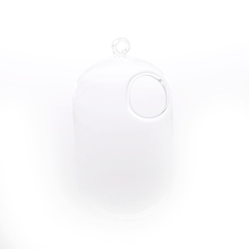 Viseća staklena vaza za hidroponiku s mahovim mikropejzažom, ručno izrađena od visokog borosilikatnog stakla