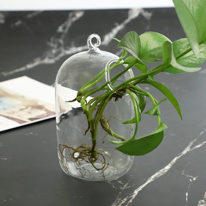 Viseća staklena vaza za hidroponiku s mahovim mikropejzažom, ručno izrađena od visokog borosilikatnog stakla
