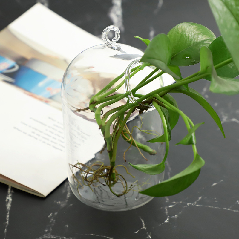 Viseća staklena vaza za hidroponiku s mahovim mikropejzažom, ručno izrađena od visokog borosilikatnog stakla