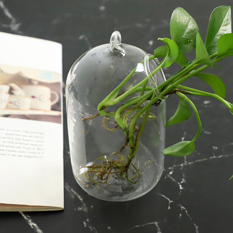 Viseća staklena vaza za hidroponiku s mahovim mikropejzažom, ručno izrađena od visokog borosilikatnog stakla