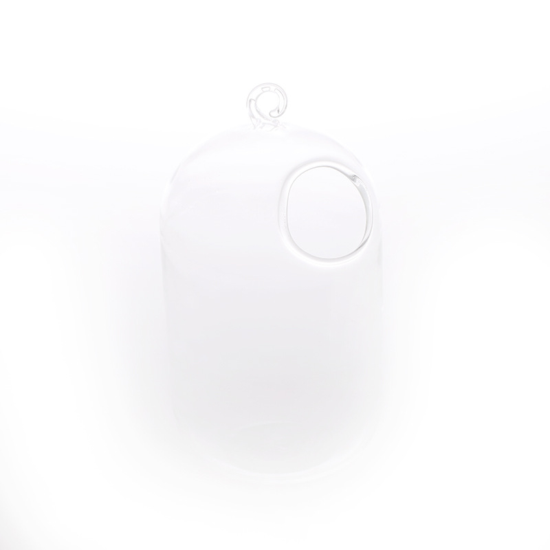 Viseća staklena vaza za hidroponiku s mahovim mikropejzažom, ručno izrađena od visokog borosilikatnog stakla