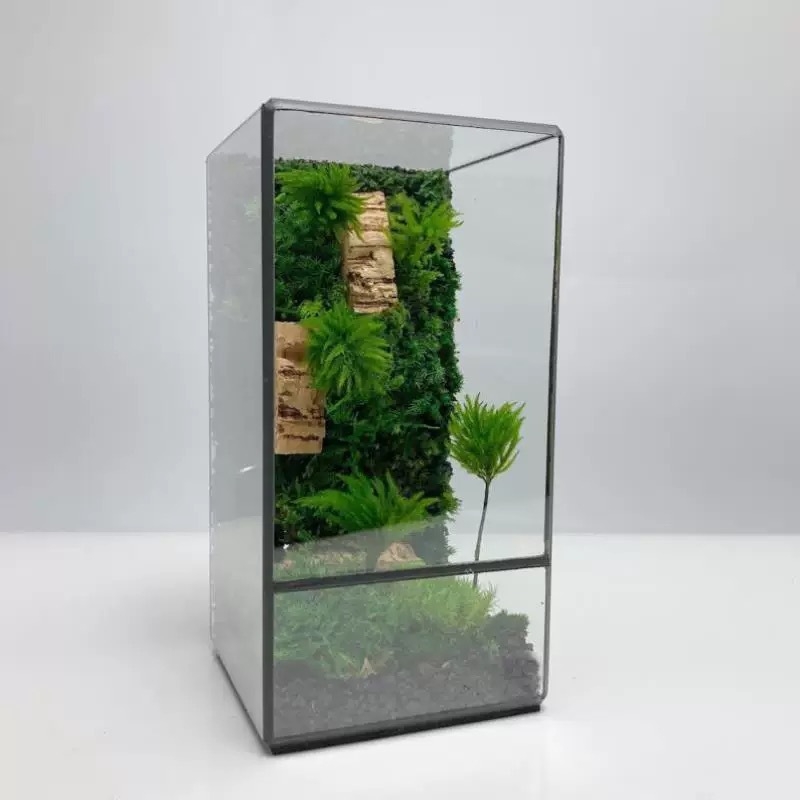 Stakleni terarij s mahovinskim mikropejzažom, ručno izrađeno, sodalime staklo, geometrijski oblik, visi dekorativan dodatak