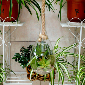 Viseća staklena vaza, staklo visokog borosilikatnog sadržaja, Chuangmei, moderni minimalistički stil